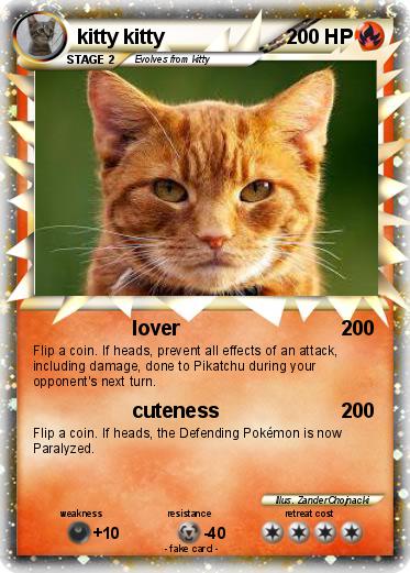 Pokemon kitty kitty