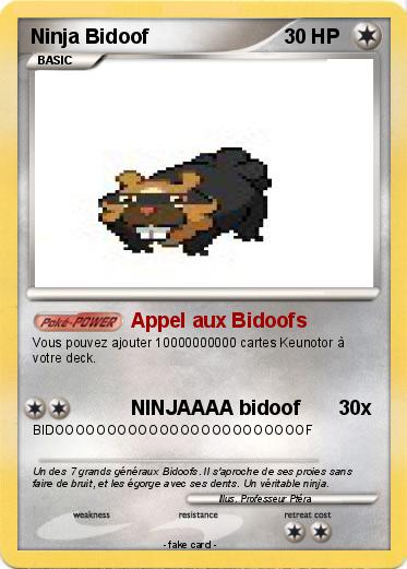 Pokemon Ninja Bidoof