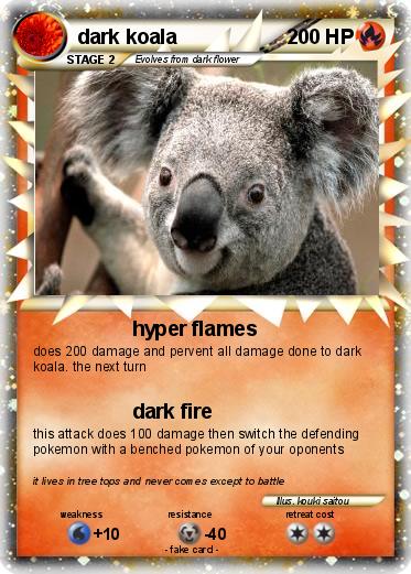 Pokemon dark koala
