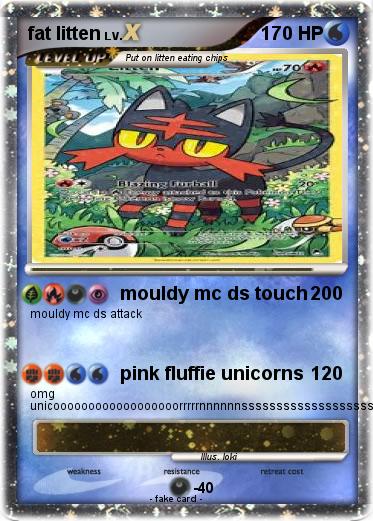 Pokemon fat litten
