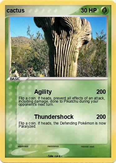Pokemon cactus