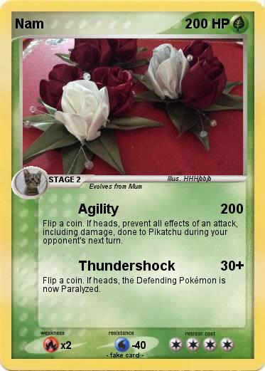 Pokemon Nam