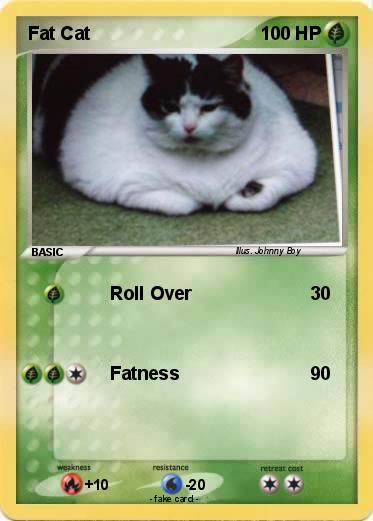 Pokemon Fat Cat
