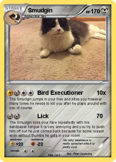 Pokemon Smudgin