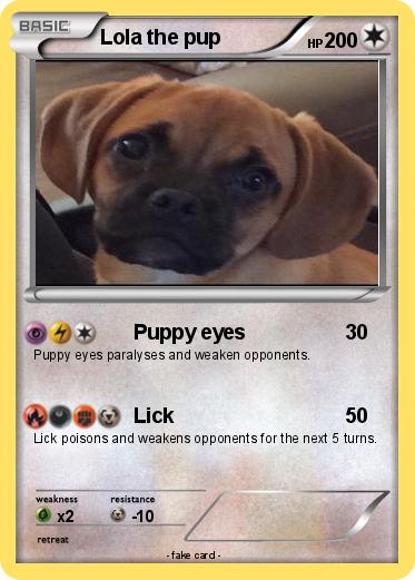 Pokemon Lola the pup