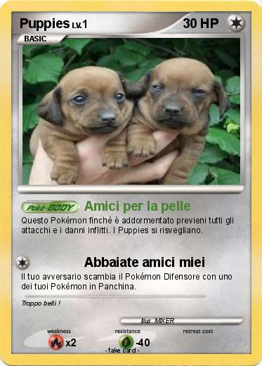 Pokemon Puppies