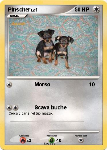 Pokemon Pinscher