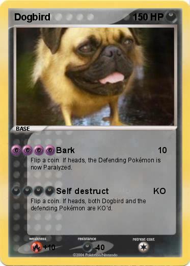 Pokemon Dogbird