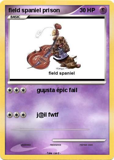 Pokemon field spaniel prison