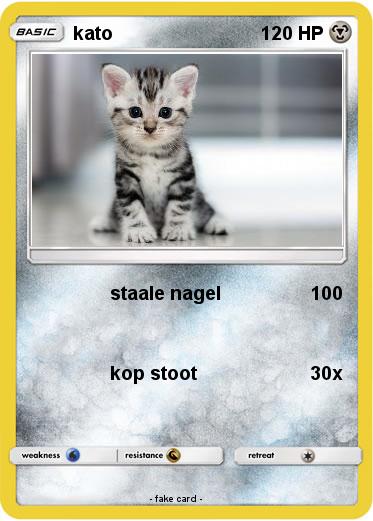 Pokemon kato