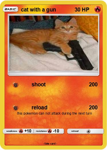 Pokemon cat with a gun
