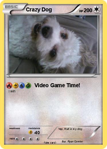 Pokemon Crazy Dog