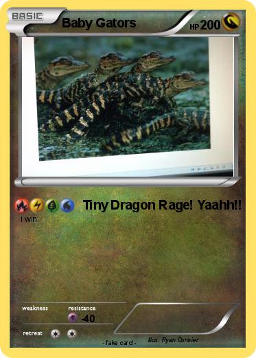Pokemon Baby Gators