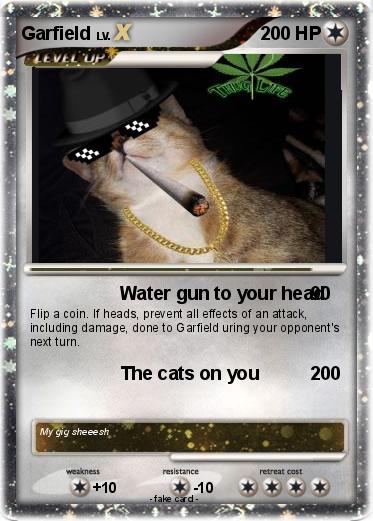 Pokemon Garfield