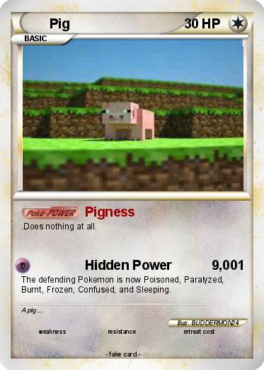Pokemon Pig