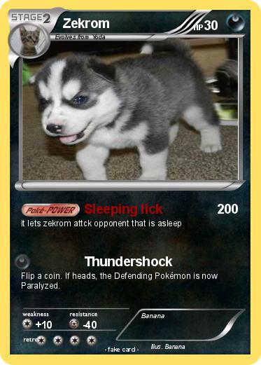 Pokemon Zekrom