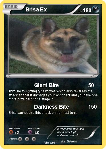Pokemon Brisa Ex