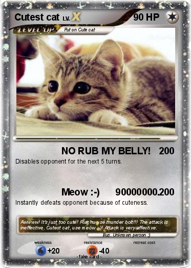 Pokemon Cutest cat