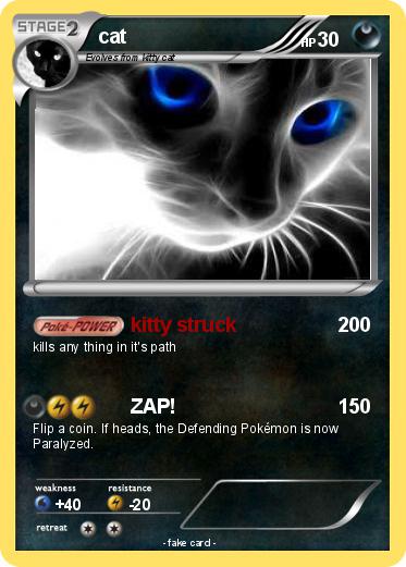 Pokemon cat