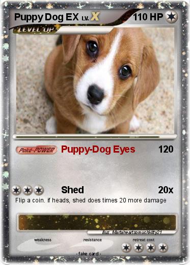 Pokemon Puppy Dog EX
