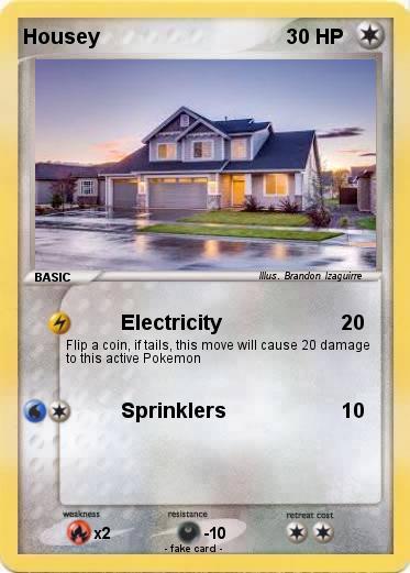 Pokemon Housey
