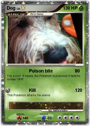 Pokemon Dog