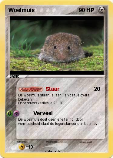 Pokemon Woelmuis