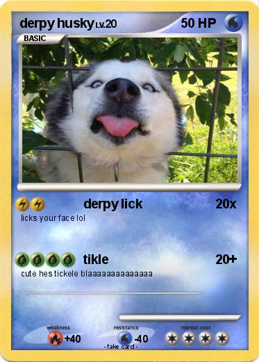 Pokemon derpy husky