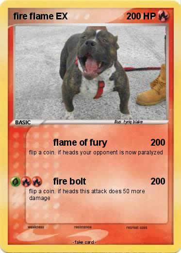 Pokemon fire flame EX