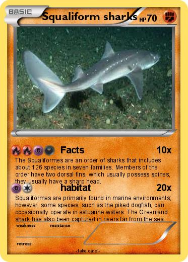 Pokemon Squaliform sharks