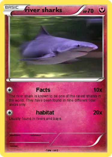 Pokemon river sharks