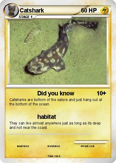 Pokemon Catshark