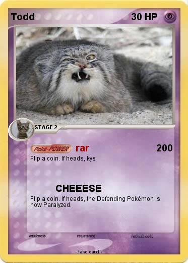 Pokemon Todd