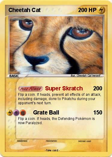 Pokemon Cheetah Cat