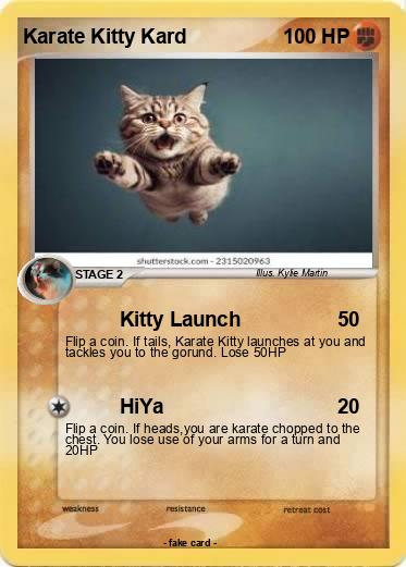 Pokemon Karate Kitty Kard