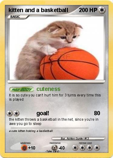 Pokemon kitten and a basketball