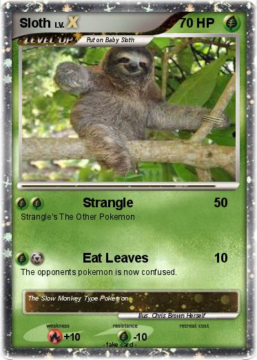 Pokemon Sloth
