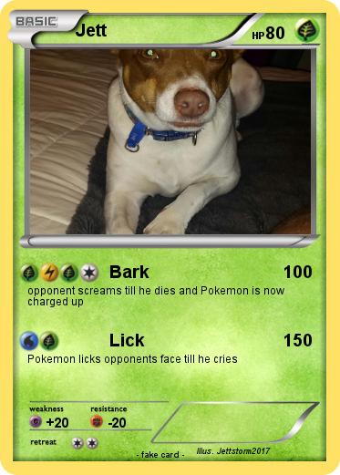Pokemon Jett