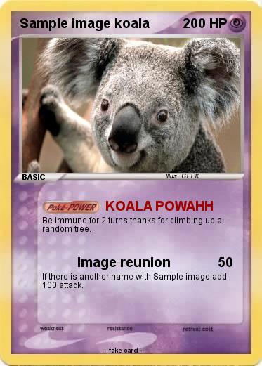 Pokemon Sample image koala Pokemon Sample image koala