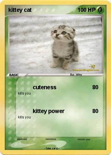 Pokemon kittey cat