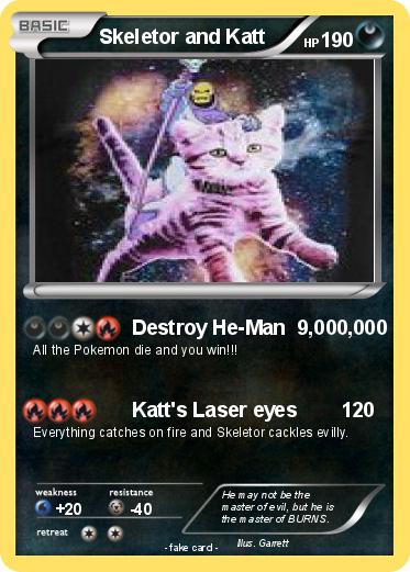 Pokemon Skeletor and Katt