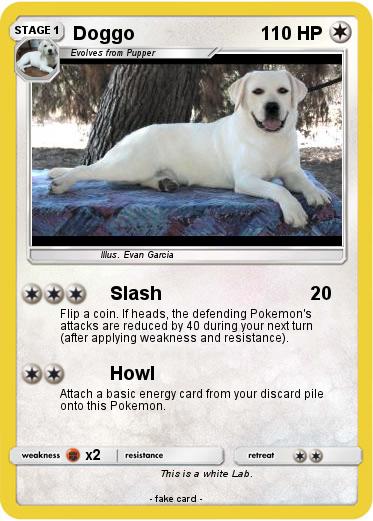 Pokemon Doggo