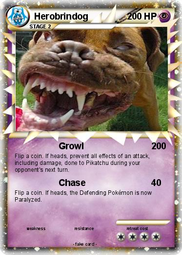 Pokemon Herobrindog