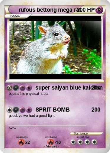 Pokemon rufous bettong mega rat