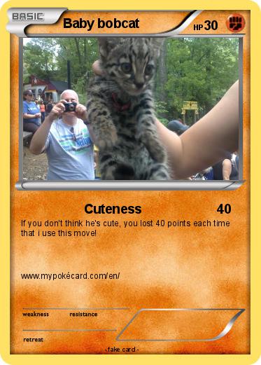 Pokemon Baby bobcat