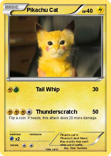 Pokemon Pikachu Cat