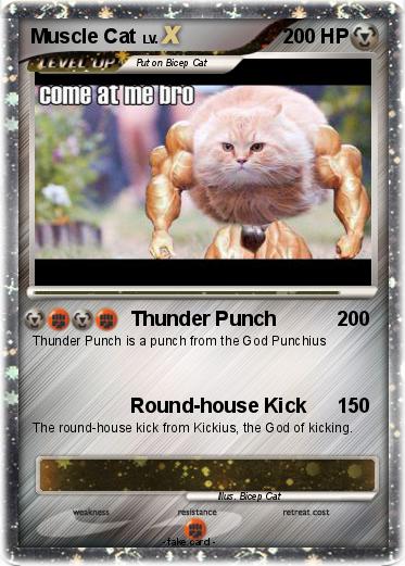 Pokemon Muscle Cat