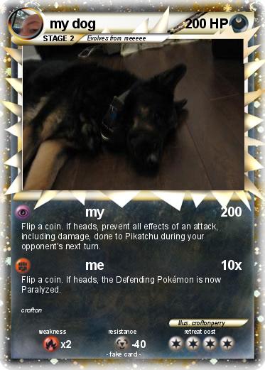 Pokemon my dog