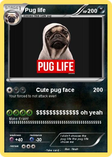Pokemon Pug life
