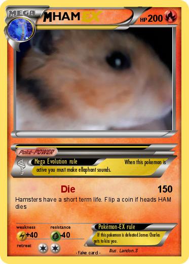 Pokemon HAM